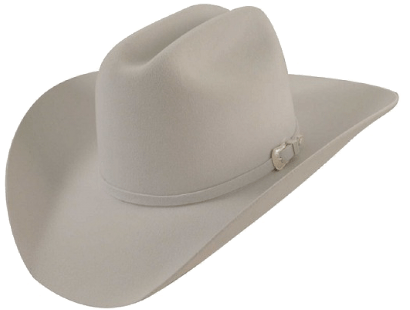 Free Png Cowboy Hat Png Images Transparent - White Cowboy Hat Png (850x655), Png Download