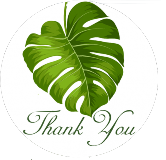 Banana Leaves Smilemail Perfect Package Kit - Symphonic Concert 2002 With Tokyo City Philharmoni (650x630), Png Download