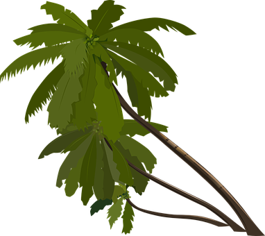 Palm Trees Slanted Tropical Trees Leaning - Animation Tree Png (382x340), Png Download