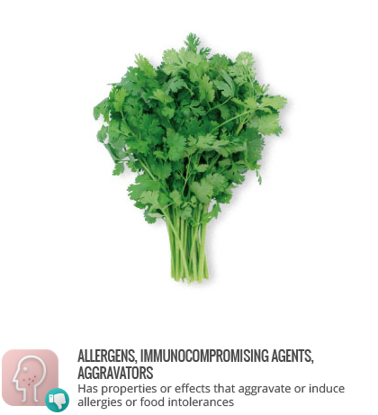 Allergens - Benefits Of Parsley (420x461), Png Download