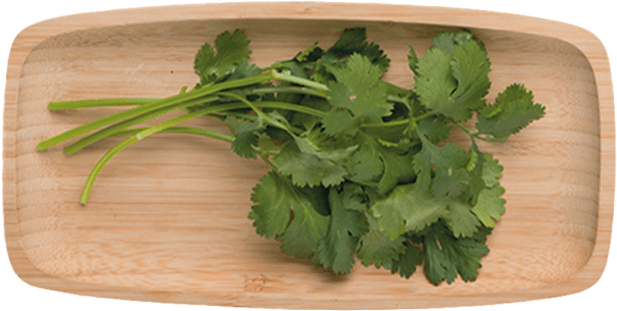 1 - Cilantro - Coriander (640x640), Png Download