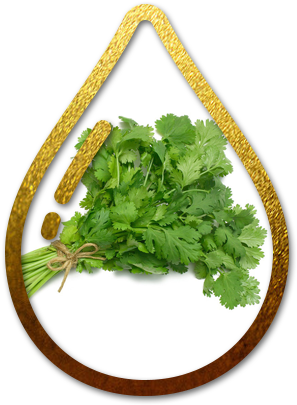 Mint Drop (310x418), Png Download