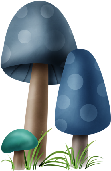 ○••°‿✿⁀shrooms‿✿⁀°••○ - Portable Network Graphics (706x800), Png Download