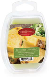 No Image Available For - Candle Warmers Pineapple Cilantro Candle Warmer 4 Oz (360x360), Png Download