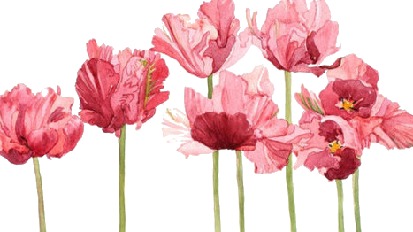 Mom Approved - Flowers Watercolour (467x262), Png Download