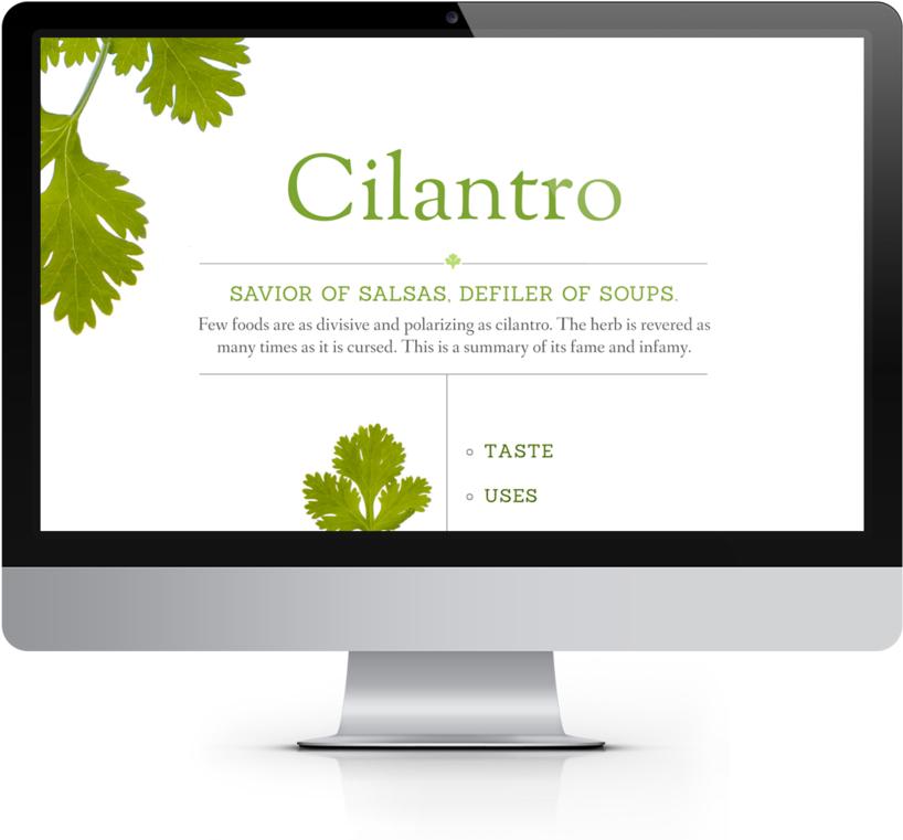 Cilantro Desktop (1000x786), Png Download