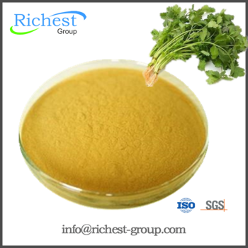 Foctory Supply 100% Pure High Quality Cilantro Leaf - Large Leaf Cilantro (200 Seeds) (350x350), Png Download