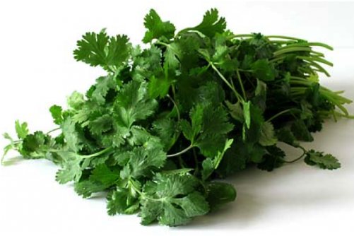 Cilantro (500x500), Png Download