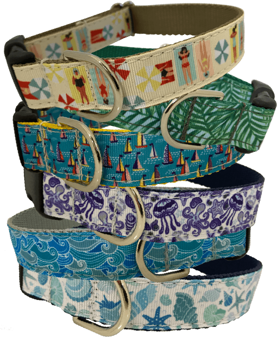 Shop Collars & Leashes - Belt (1200x1200), Png Download