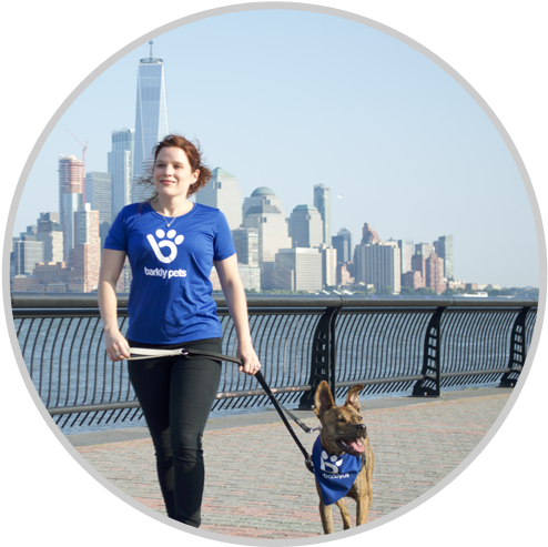 Attend A Walker Onboarding In Your City To Meet Other - Dog Walking (500x500), Png Download