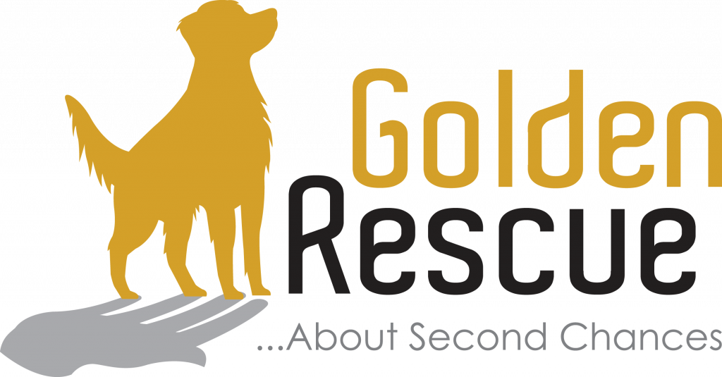 Foster Care (1024x535), Png Download