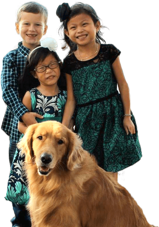 Improving Their Lives - Companion Dog (560x788), Png Download