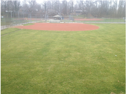 Diamond - Baseball Park (500x300), Png Download