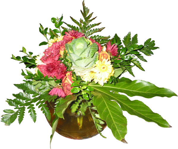 Alpha Transparent Plant - Bouquet (600x503), Png Download