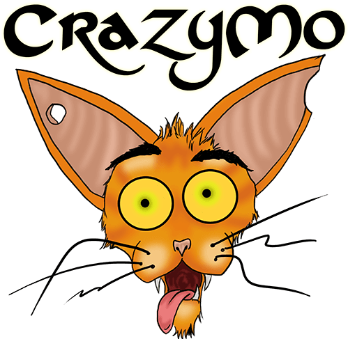 Crazy Mo Guitar - Guitar (500x500), Png Download
