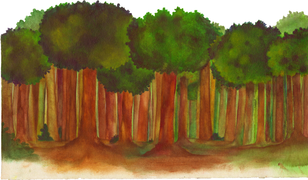 Transient (1000x586), Png Download