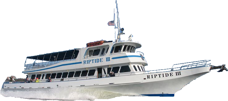 You Deserve Front Row Seats To The Biggest Fireworks - Ferry (800x600), Png Download