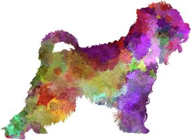 Click And Drag To Re-position The Image, If Desired - Soft-coated Wheaten Terrier (600x480), Png Download