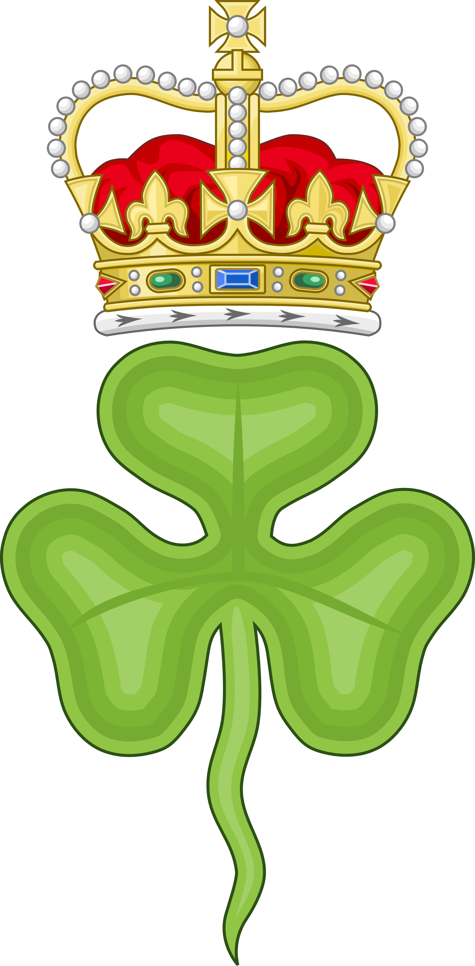 Irish Shamrock Png Download - Royal Badge Of Ireland (1979x4021), Png Download