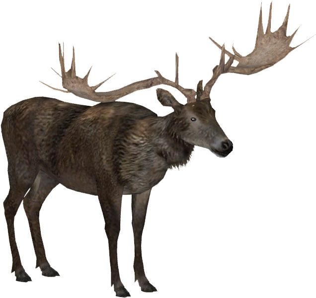 Irish Elk 2 Adult M1 - Irish Elk Png (635x635), Png Download