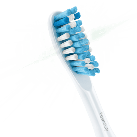 Toothbrush Head Png (480x480), Png Download