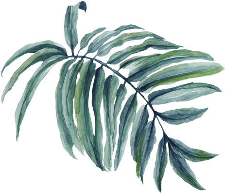 The Significance Of The Palms And Cloaks - Palm Tree Branch Png Watercolor (495x417), Png Download