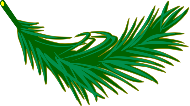 Palm Trees Palm Branch Palm-leaf Manuscript Frond - Palm Leafclipart (606x340), Png Download