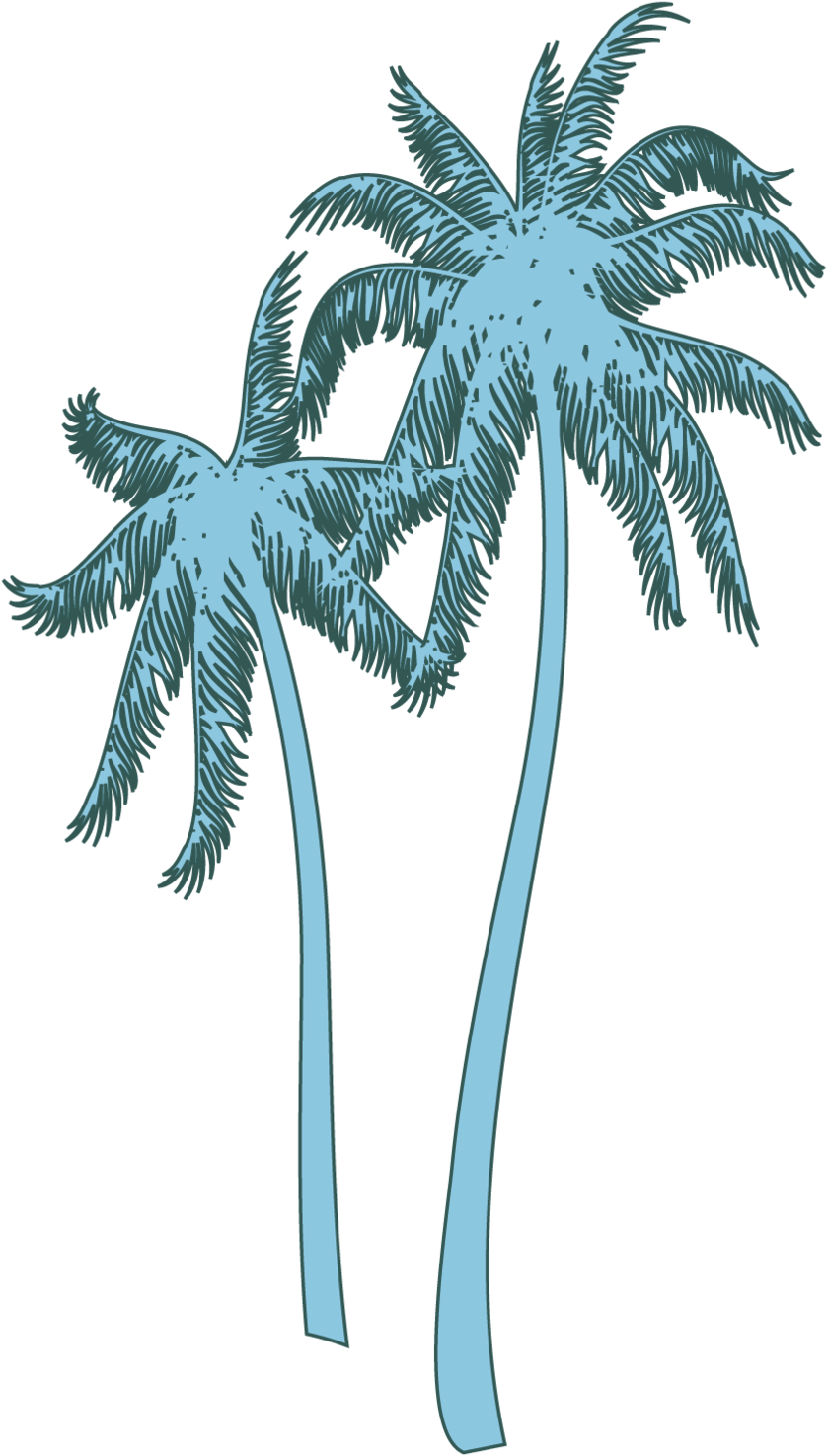 Coconut Tree (1000x1592), Png Download