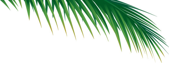 Go To Image - Palm Tree Branch Png (576x215), Png Download