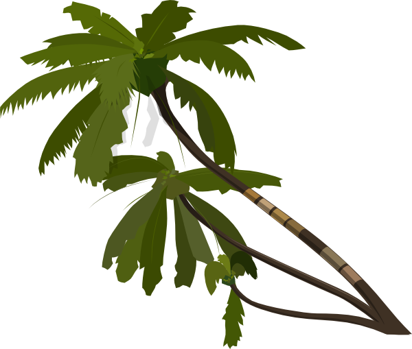 Vector Palm Trees Clip Art - Palm Tree Transparent Clipart (600x509), Png Download
