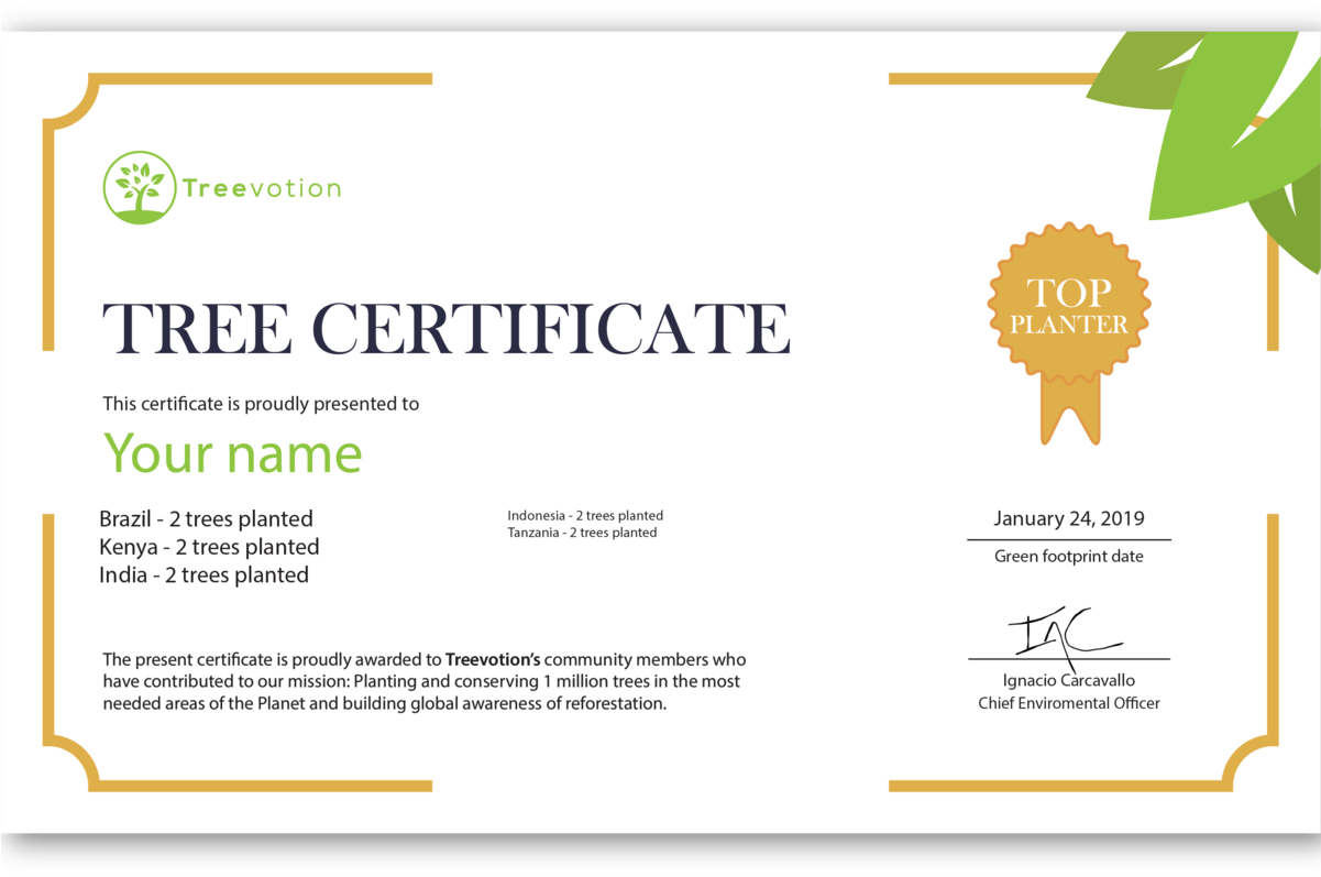 Sunflower (1200x1200), Png Download