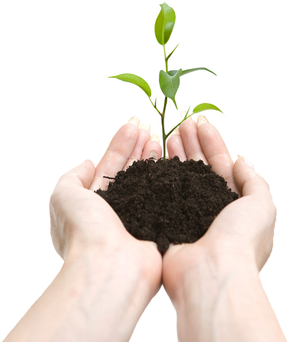 Mission And Values - Conservation Energy Day (575x680), Png Download