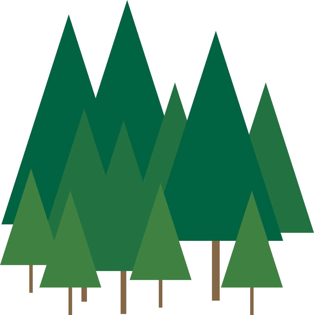 Tree - Christmas Day (1315x1318), Png Download