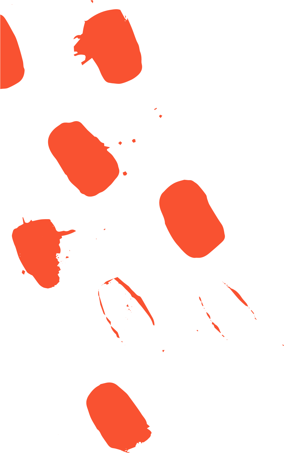 Illustration (1986x1880), Png Download