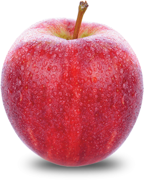 Fall Variety - Apple Gala (650x650), Png Download