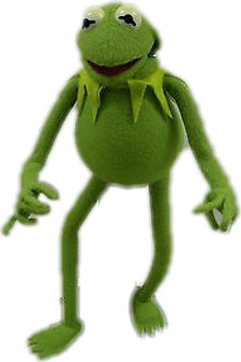 True Frog (480x721), Png Download