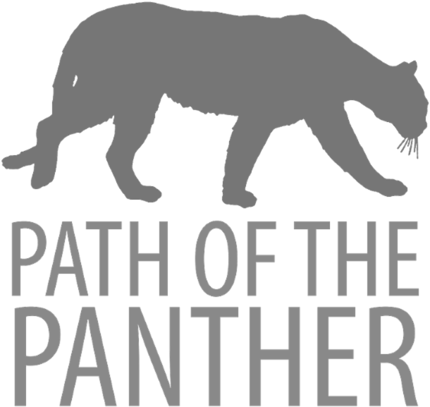 Confirm That You Like This - Grizzly Bear (800x800), Png Download