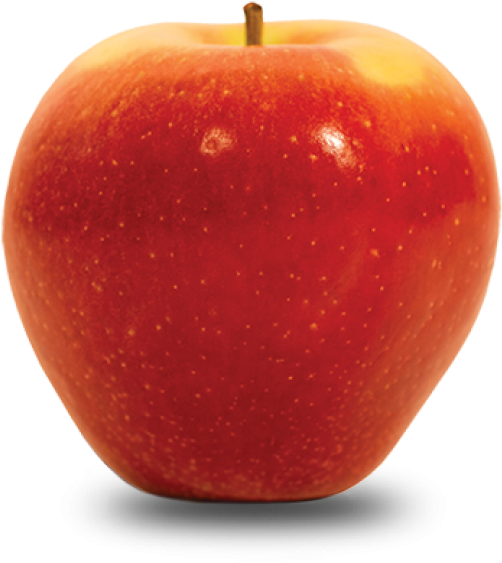 Fall Variety - Apple (650x650), Png Download