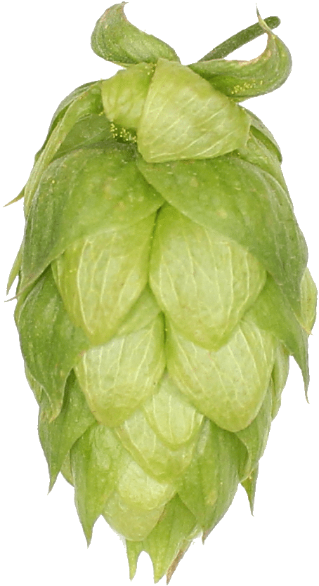 Cherimoya (631x1024), Png Download