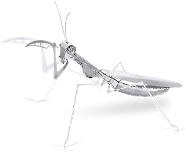 Metal Earth Online Store - Praying Mantis Claw Transparent (600x600), Png Download