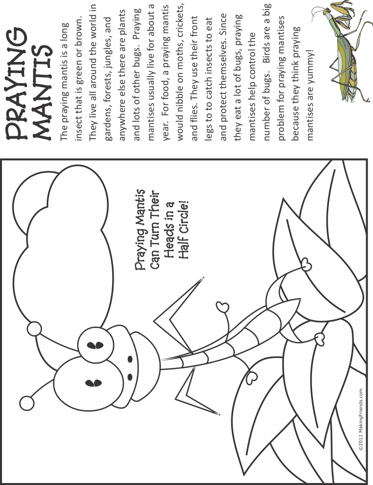 Praying Mantis Fact And Coloring Page - Cleaning House (758x986), Png Download