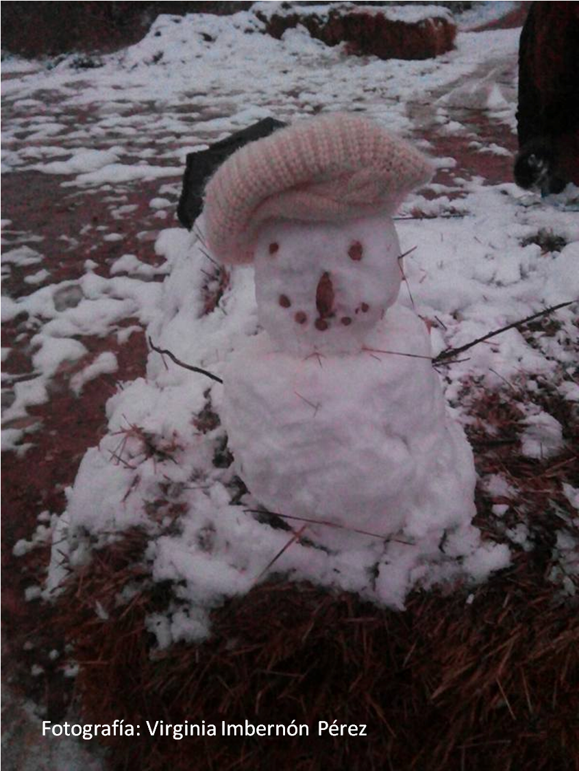 Un Nuevo Y Efímero Astrónomo Aficionado, Deseamos Que - Snow (1277x1127), Png Download