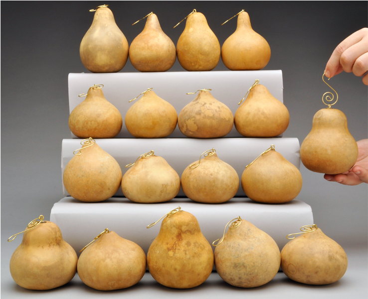 Fancy Hook Craft-ready Gourd Ornaments - Gourd (1200x600), Png Download