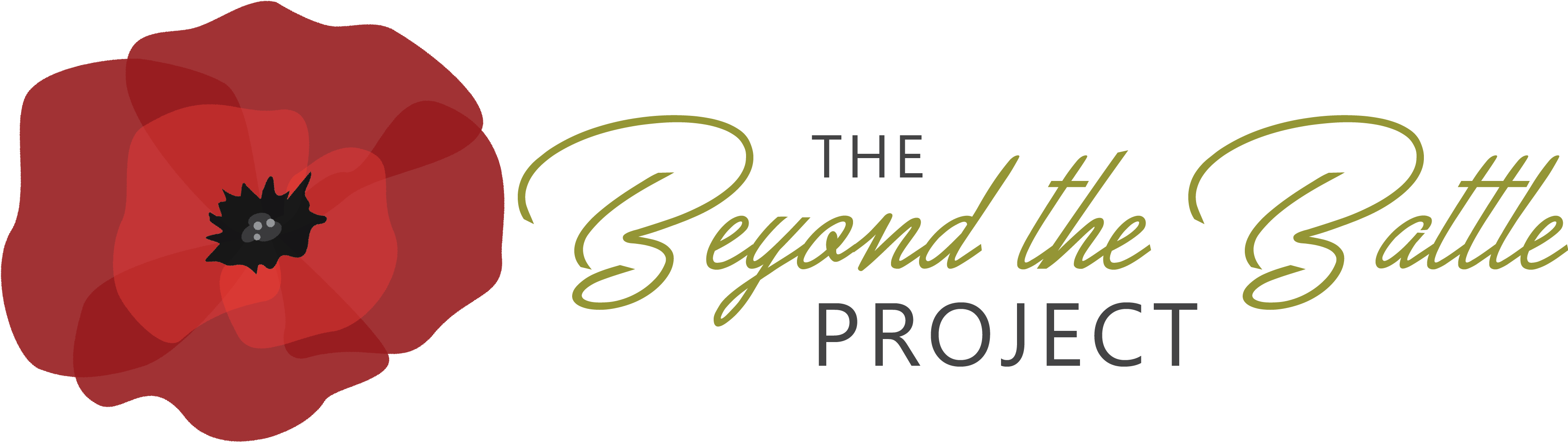 Beyond The Battle Logo Website - Graphic Design (3766x1269), Png Download