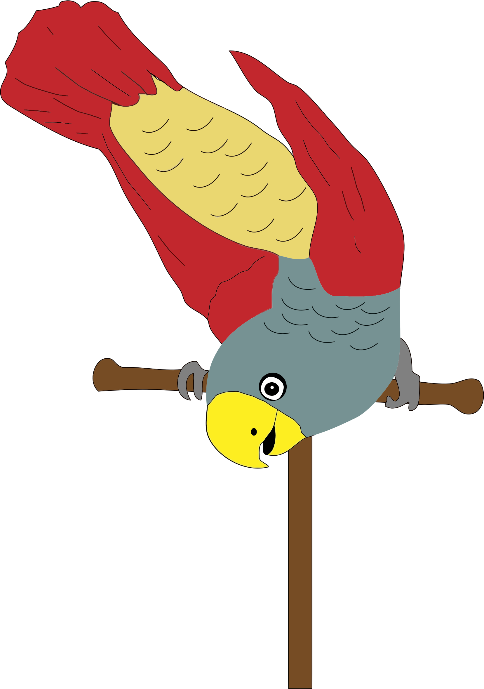 Parrot On Perch - Perch Clipart (1658x2359), Png Download