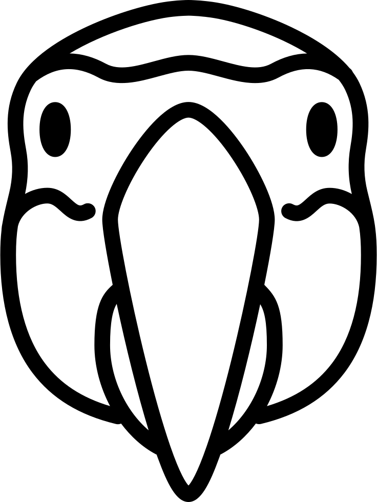 Png File Svg - Parrot Head Front Drawing (736x980), Png Download