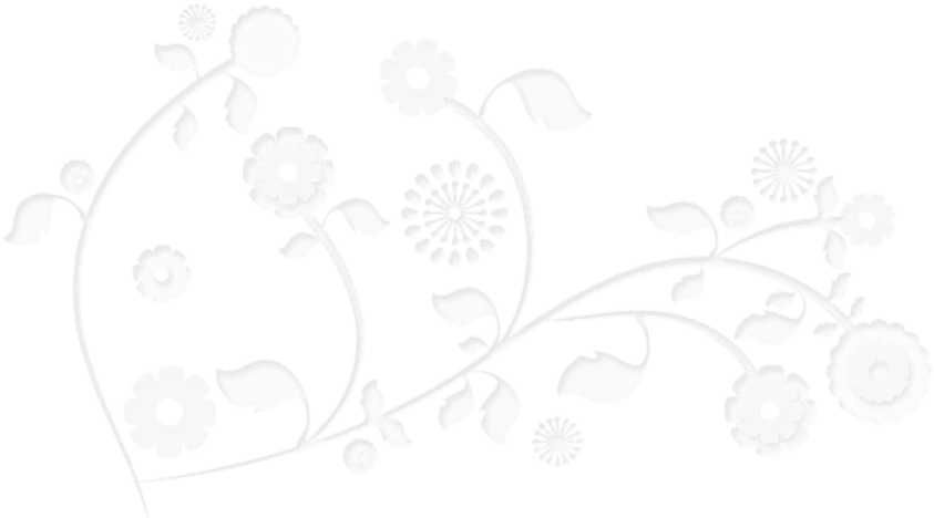 Download Transparent Flowers Decorative Element Clipart - Illustration (850x479), Png Download