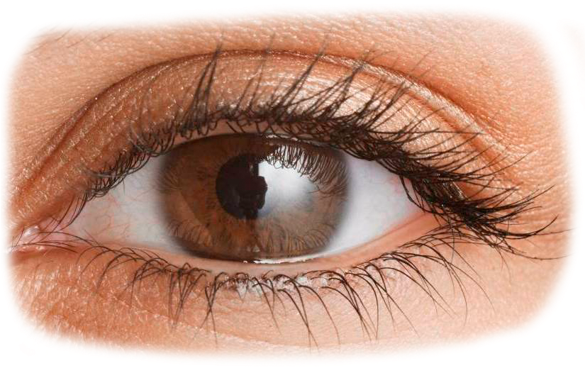 Png Eye - Png Image Of Eye (824x530), Png Download