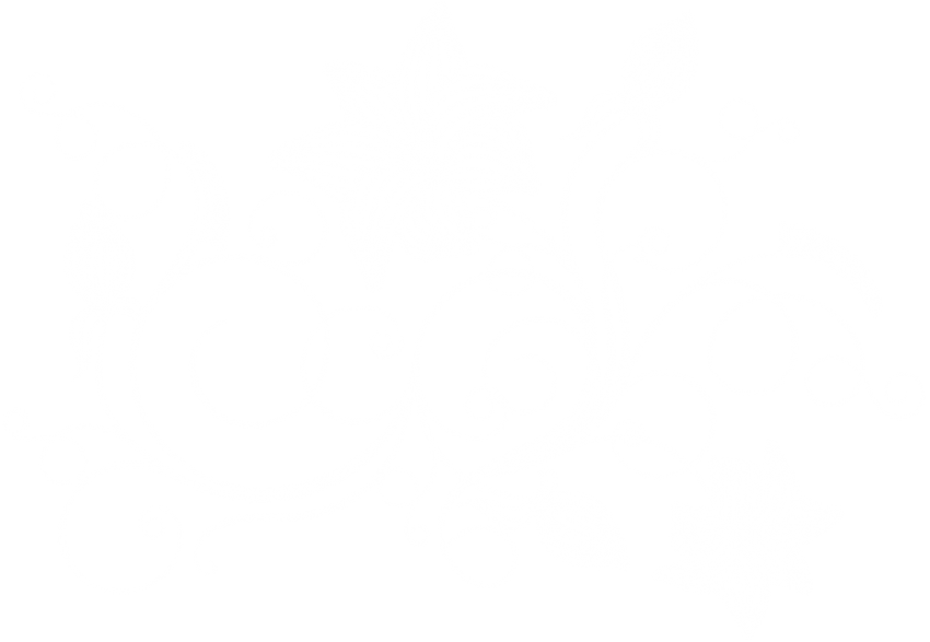 Free Png Download Floral Decoration Transparent Clipart - Floral Design (850x587), Png Download