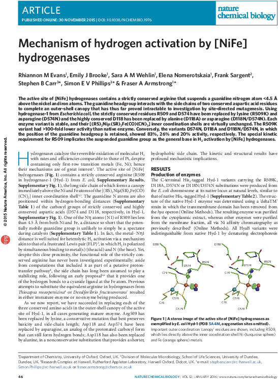 Pdf - Document (595x782), Png Download